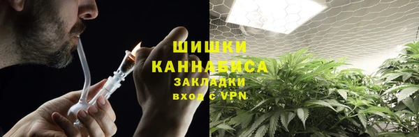 apvp Гусь-Хрустальный