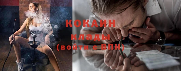 ALPHA PVP Гусев