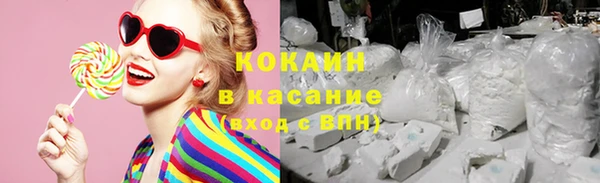 apvp Гусь-Хрустальный