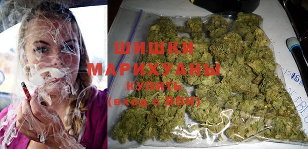 ALPHA PVP Гусев