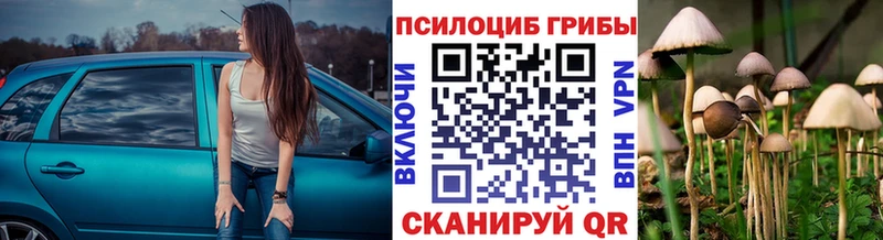 Псилоцибиновые грибы Magic Shrooms что такое Добрянка
